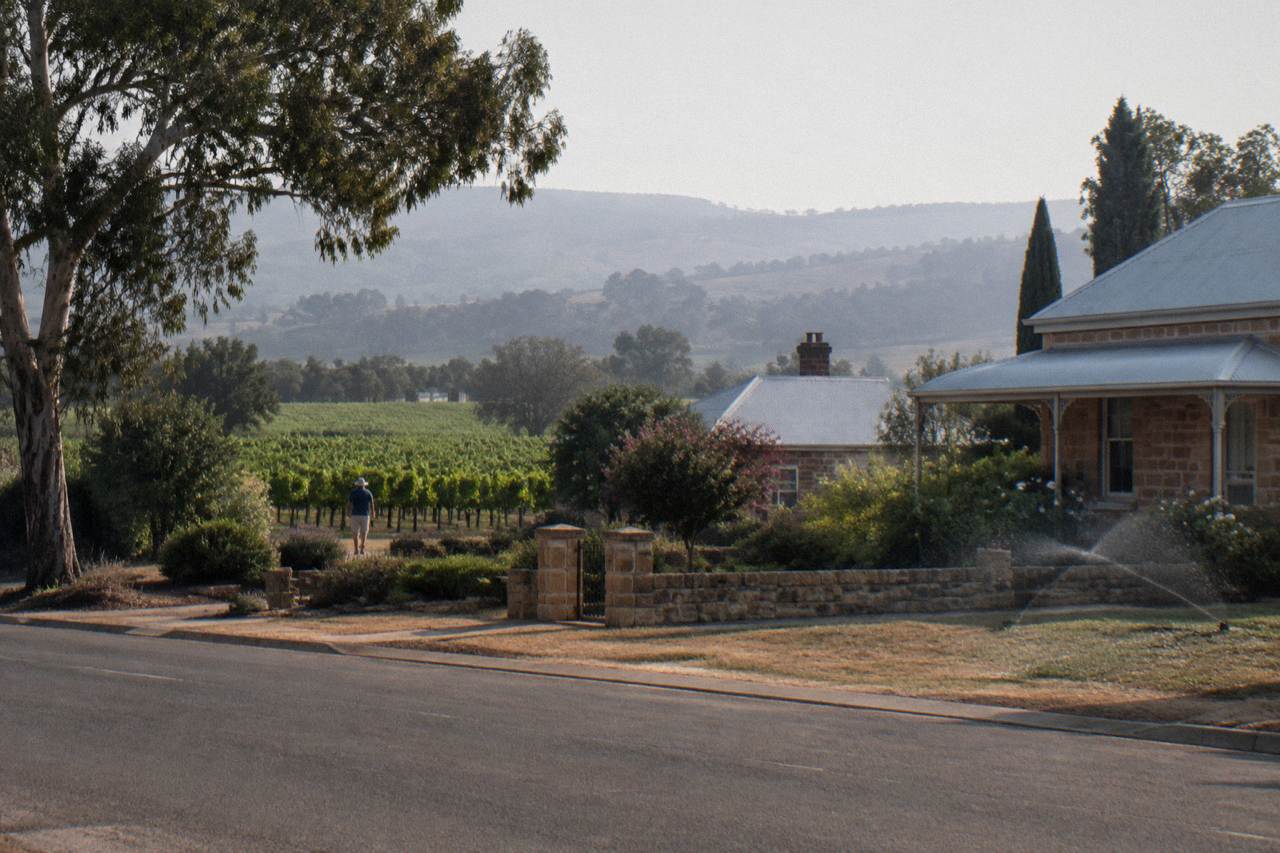 Vineyard rows and stone buildings along the main street of Tanunda in the Barossa Valley