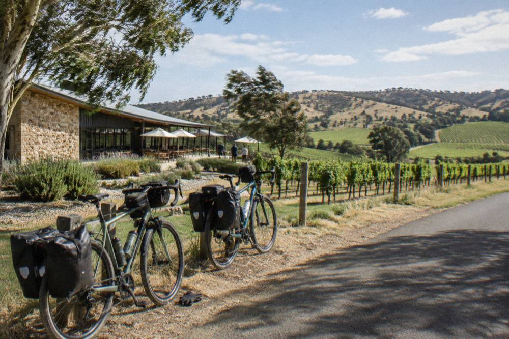 Two bicycles parked on a sealed rail trail beside vineyard rows