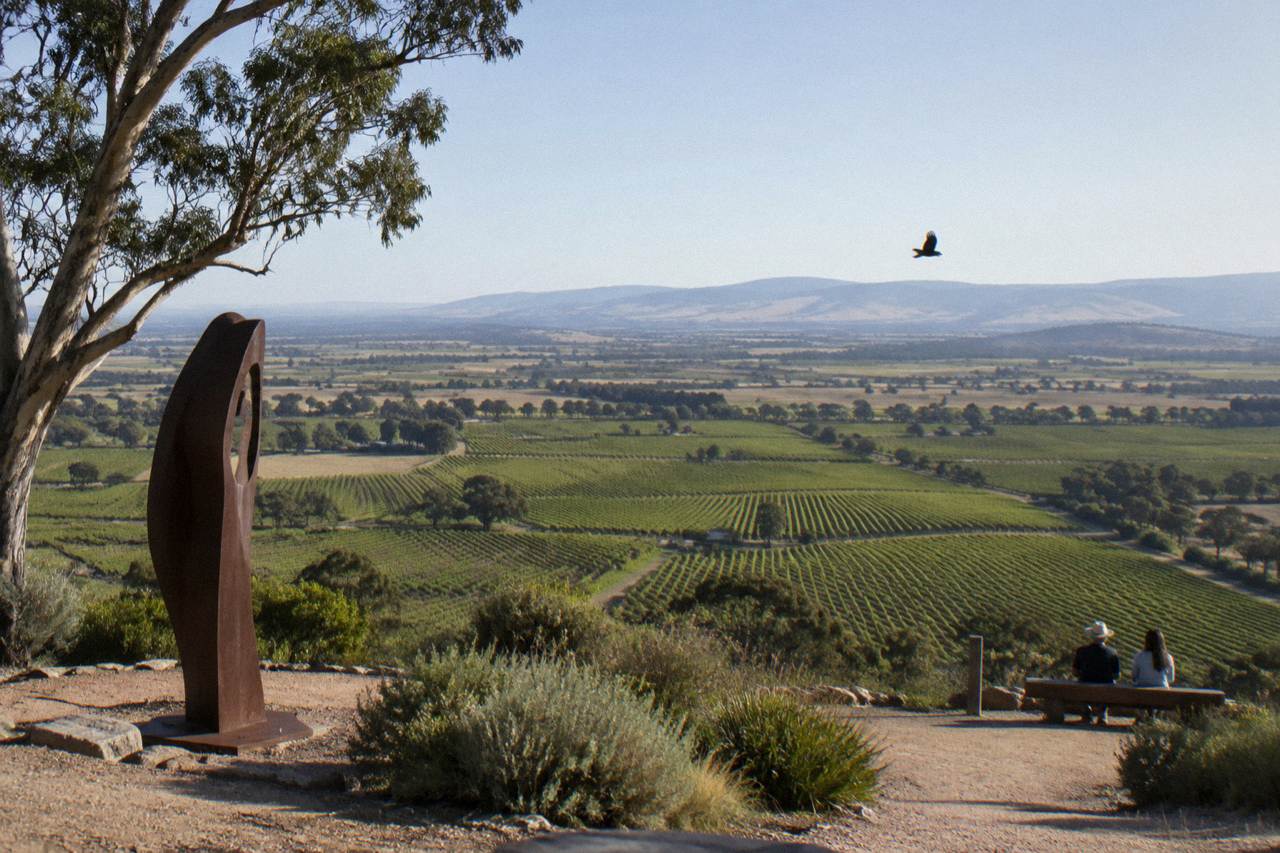 Vineyard rows stretching across the Barossa Valley floor toward distant hills