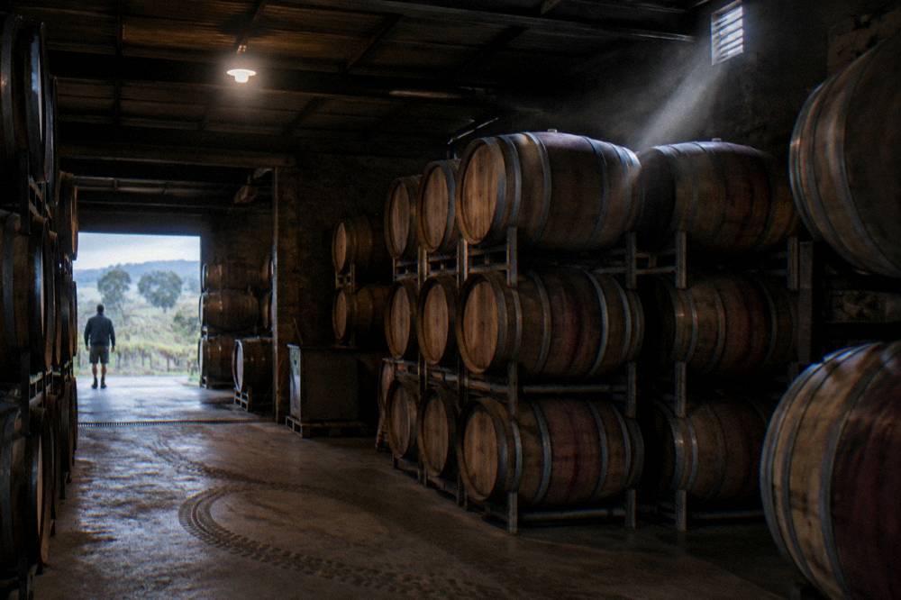 Oak barrels stacked in a dim winery barrel room in the Barossa Valley