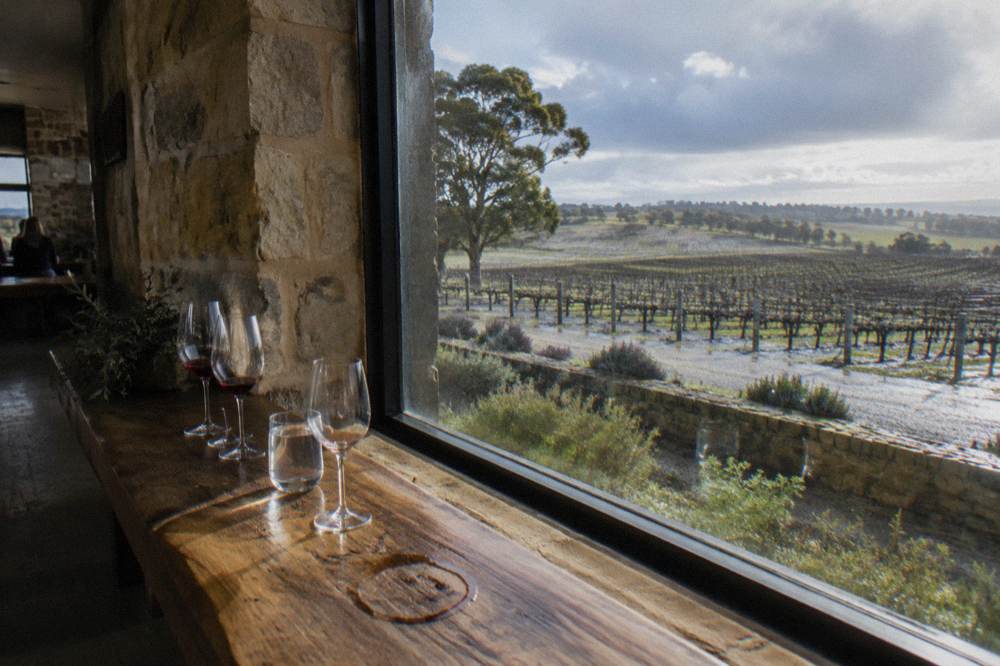 A cellar door tasting bench with wine glasses lined up before a window overlooking vineyards