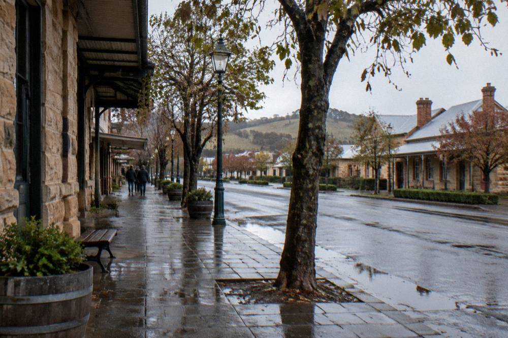 A quiet country road lined with gum trees winding through vineyards toward a small country town