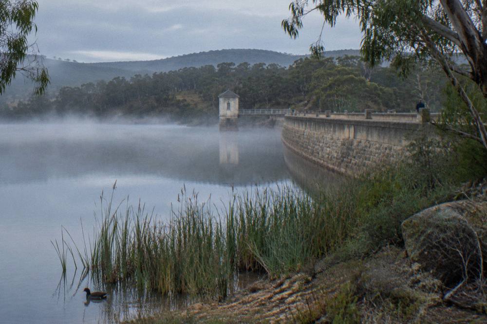 A stone dam wall surrounded by eucalyptus bushland at a quiet valley reservoir