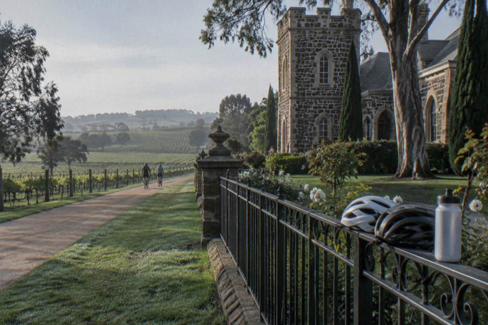Bicycles resting against a cellar door fence beside a vineyard path