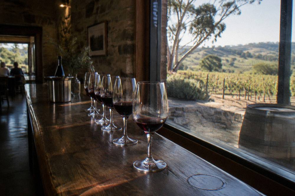 A tasting flight of red wines lined on a timber cellar door bar