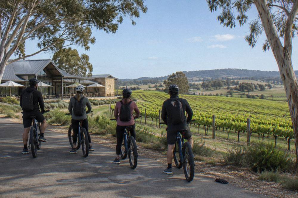 A guided e-bike group parked on a sealed rail trail beside vineyards under a blue sky.
