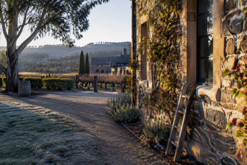 Historic stone winery buildings and a palm-lined driveway at a Barossa estate