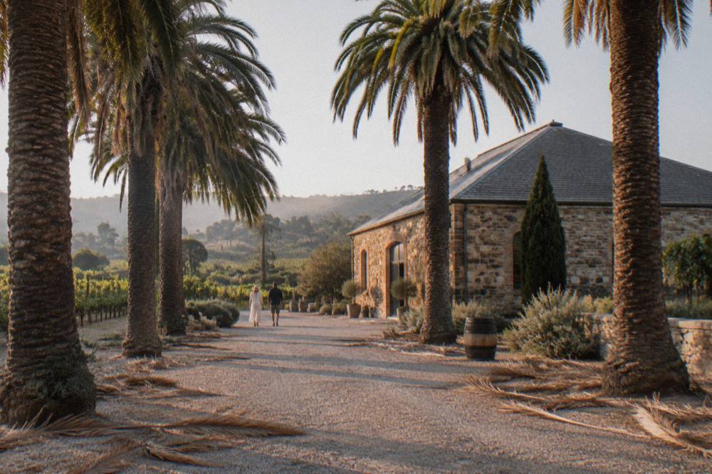 A stone winery building beside a gravel drive lined with date palms