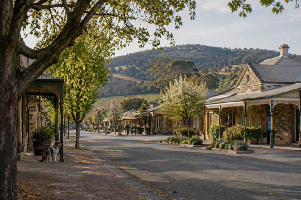 A tree-lined village main street with old stone buildings at the foot of wooded hills