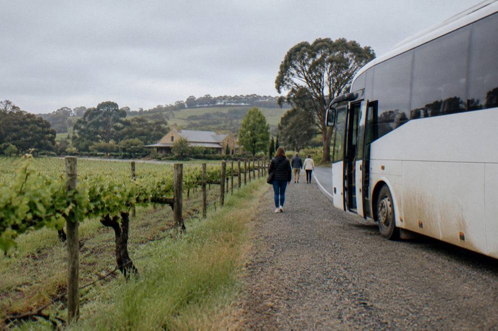 A coach parked beside vineyards on a quiet country road at golden hour