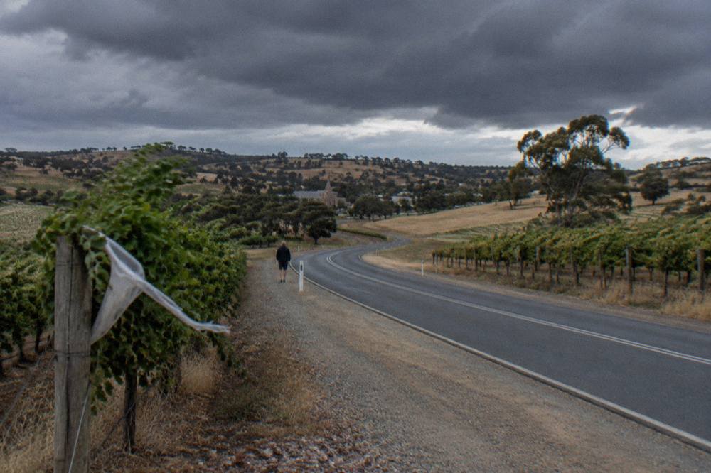 Two-lane country road curving between dry hills covered in vineyards
