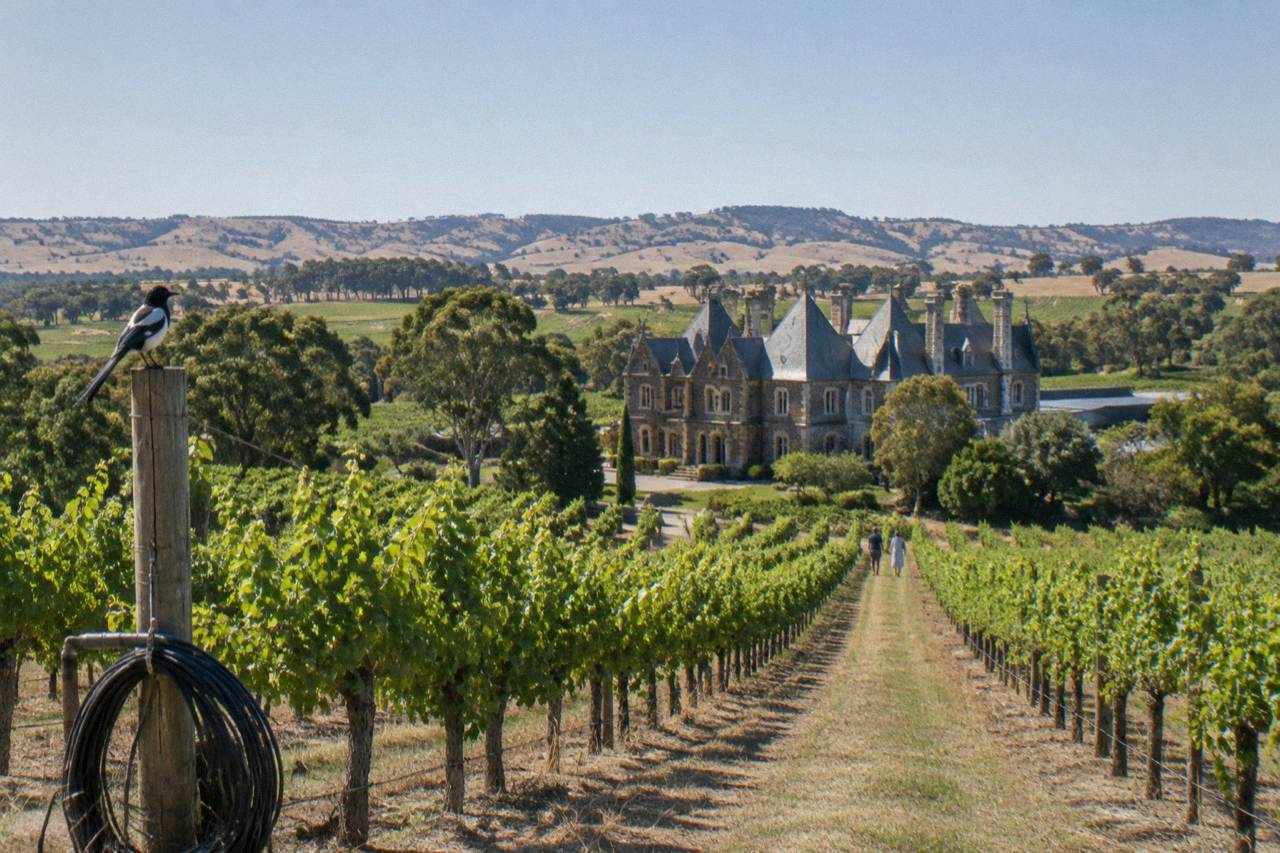 Vineyard rows on rolling hills with a stone cellar door building in the distance under a clear sky