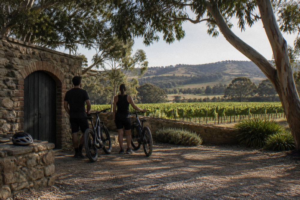 Electric bicycles parked outside a stone cellar door building surrounded by vines