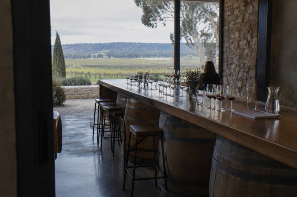 A tasting room counter with wine glasses lined up above barrels