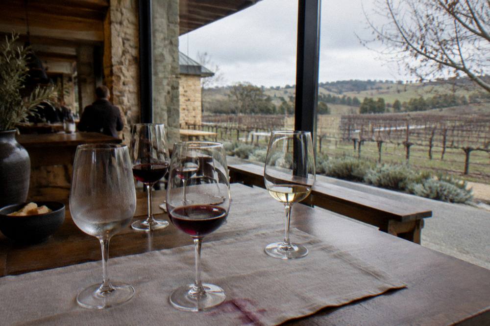 A group of wine glasses on a tasting bench with vineyards through the window