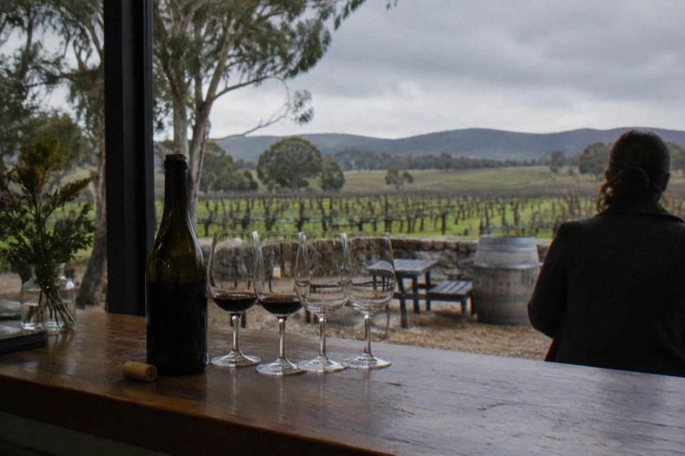 A tasting room counter with wine glasses arranged in a flight beside an open bottle