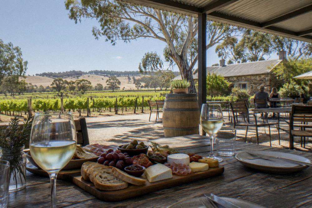 A shaded outdoor table with a shared grazing board and glasses of wine beside a vineyard row