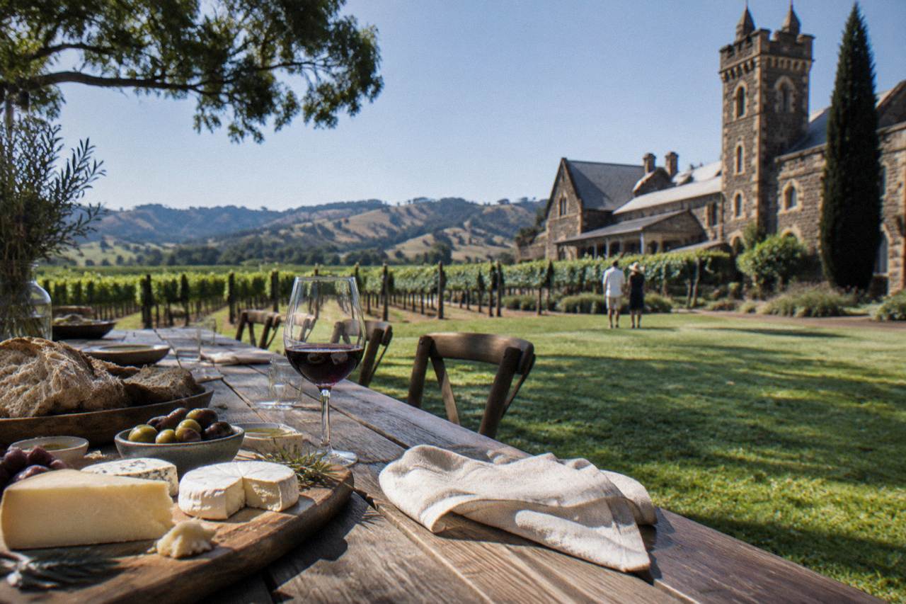 A long communal lunch table set with regional produce beside rows of vineyard vines under a clear sky