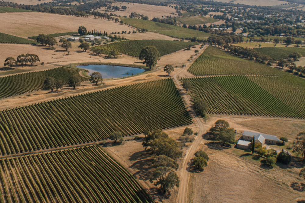 Vineyard rows and low hills of the Barossa Valley seen from above on a clear day