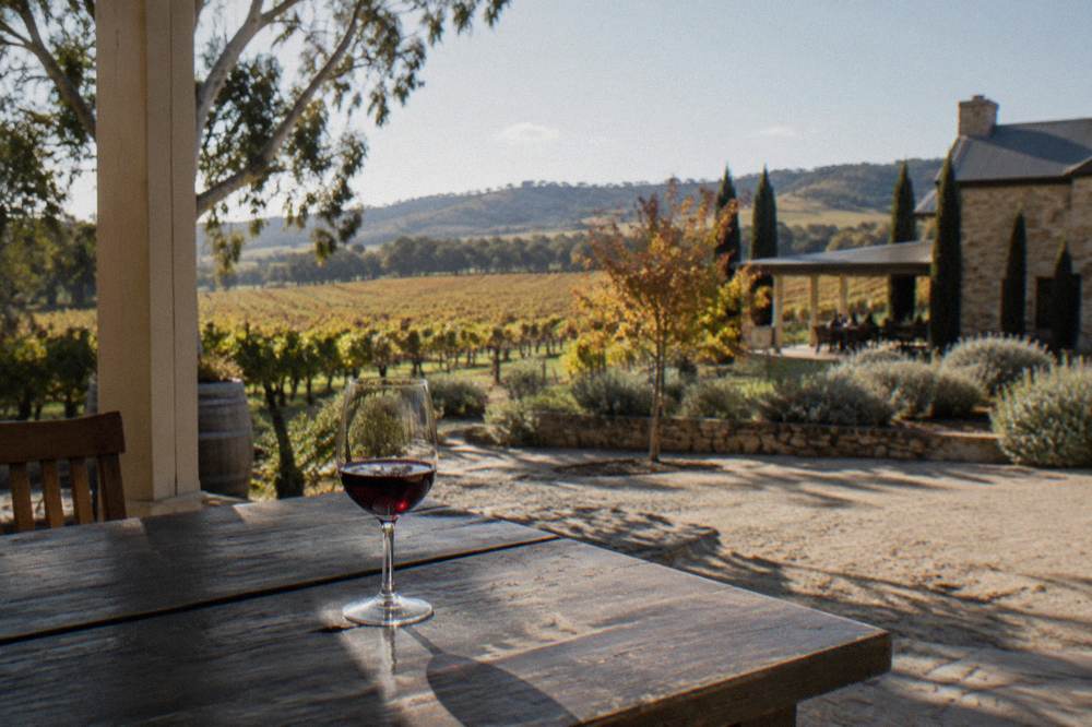A glass of red wine on a wooden table with a vineyard view in the background.