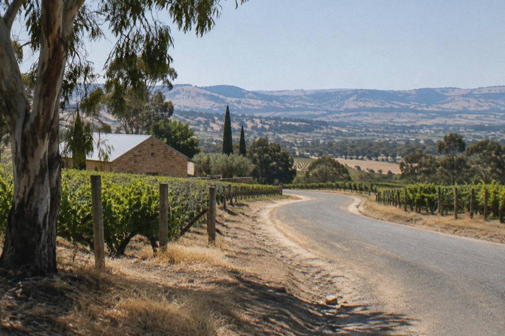 A sign pointing to various wineries along a scenic Barossa road.