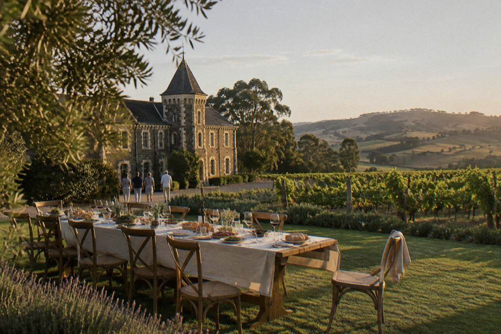 A long table lunch set among vineyards with regional platters and wine glasses