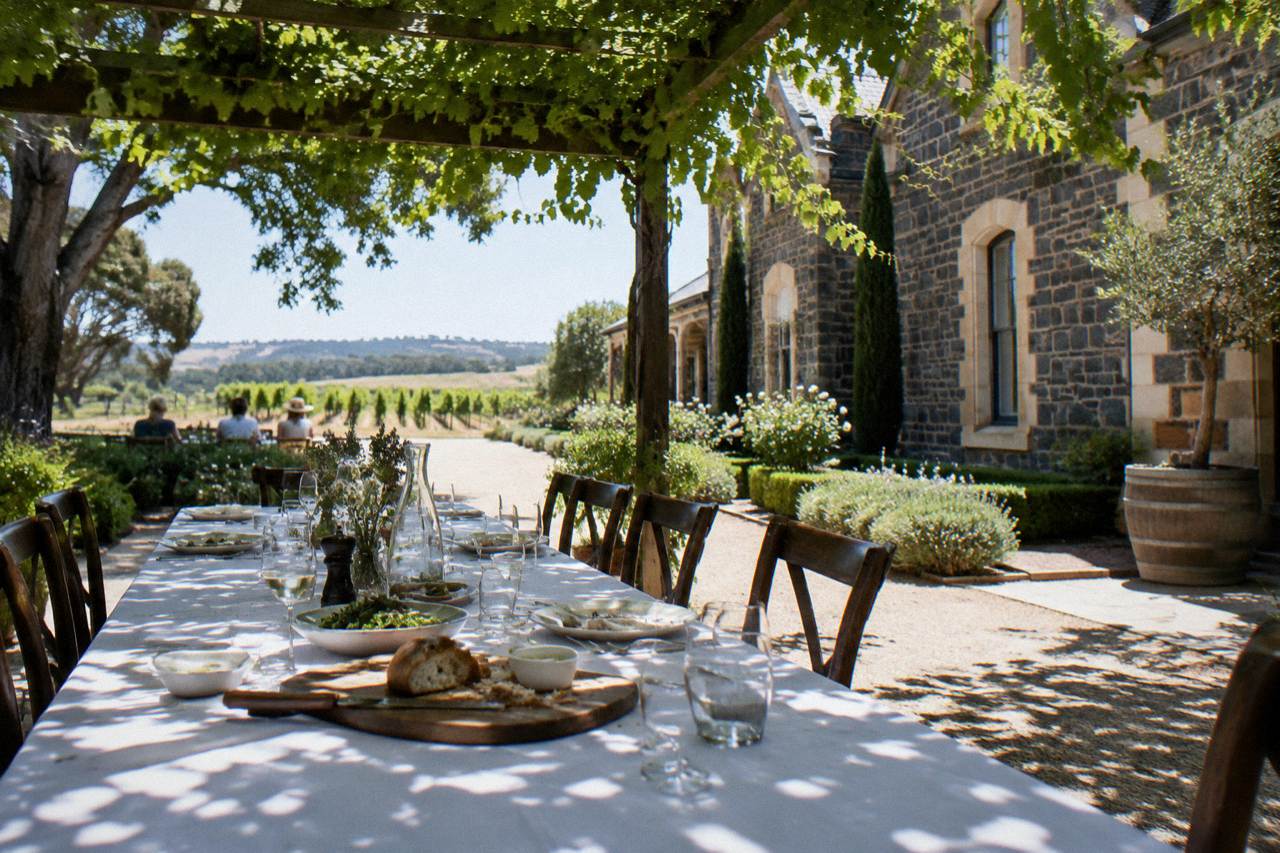 A long table set for lunch under a vine-covered pergola with vineyard views in the Barossa Valley