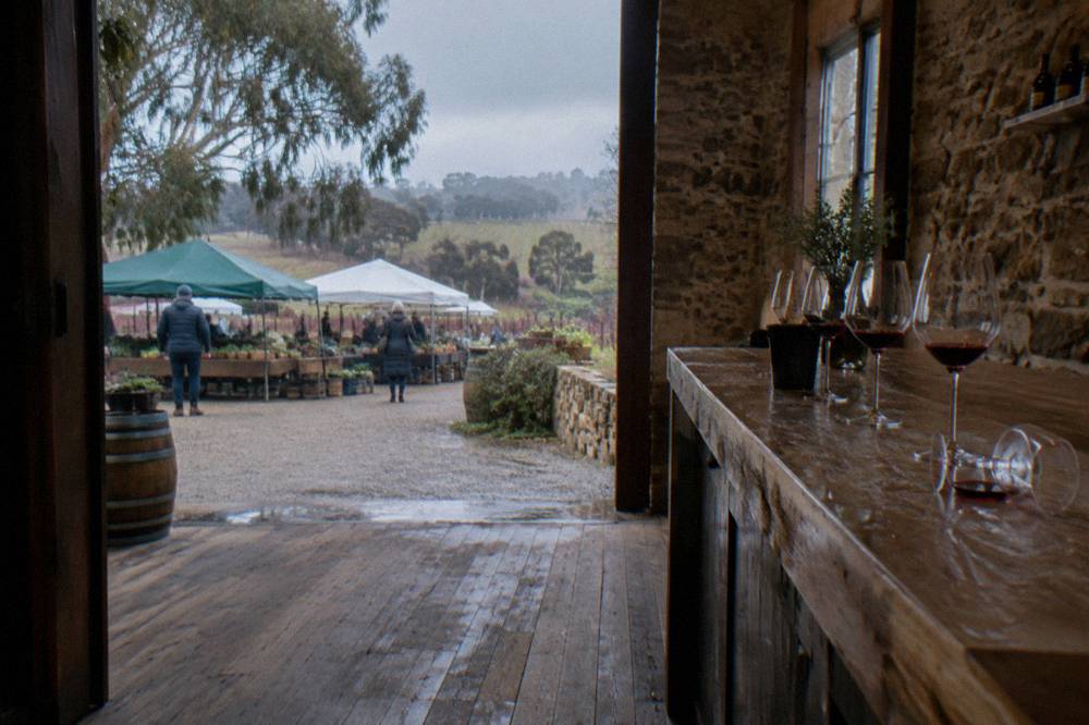 A cellar door tasting room with red wine glasses lined along a wooden bar