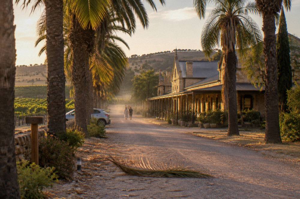 Stone winery buildings and palm-lined drive at a heritage Barossa estate