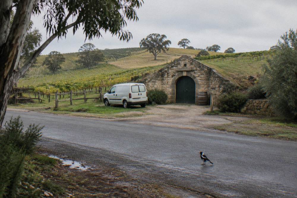 A small van parked outside a Barossa cellar door with vine rows on rolling hills behind
