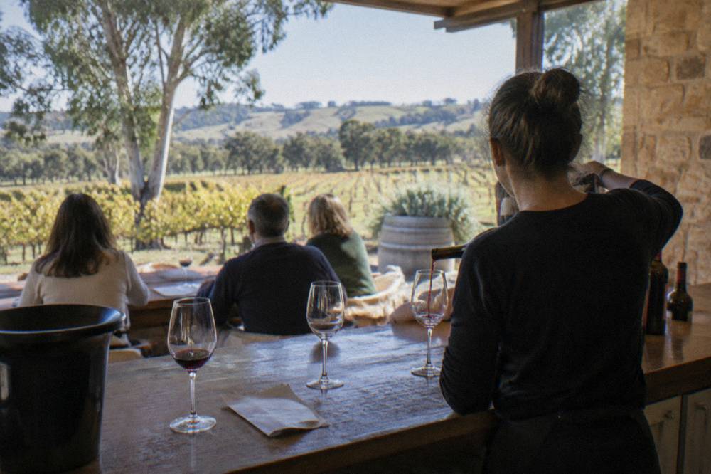 A host pouring wine behind a cellar door counter for a small seated group