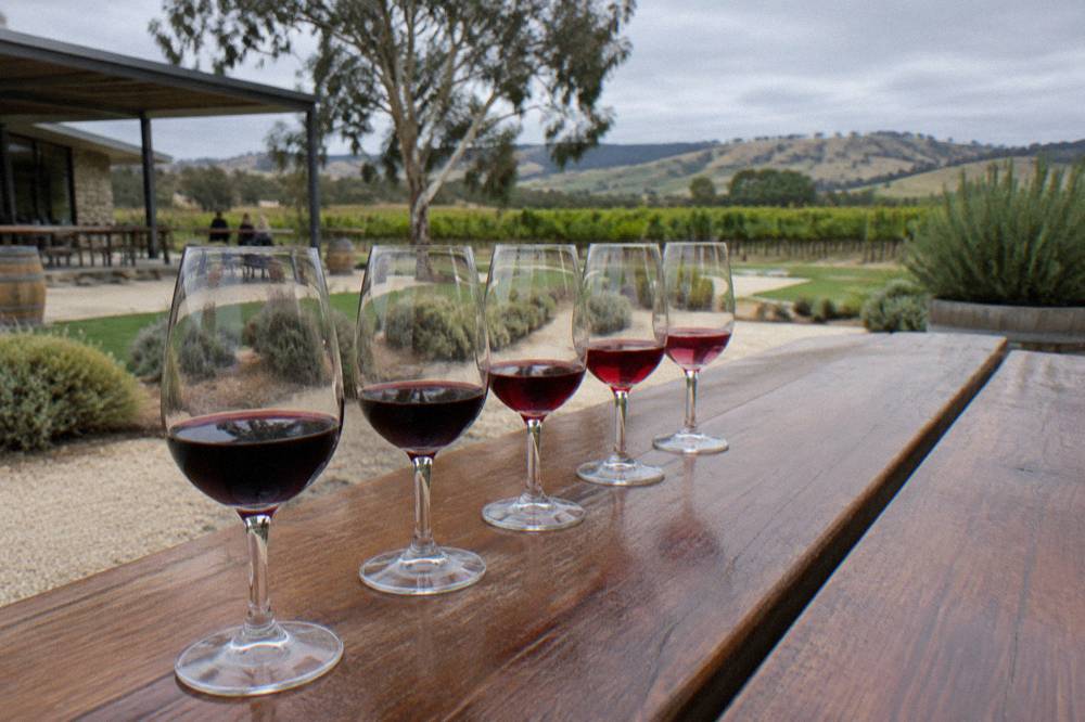 A row of wine glasses lined up along a wooden tasting bench