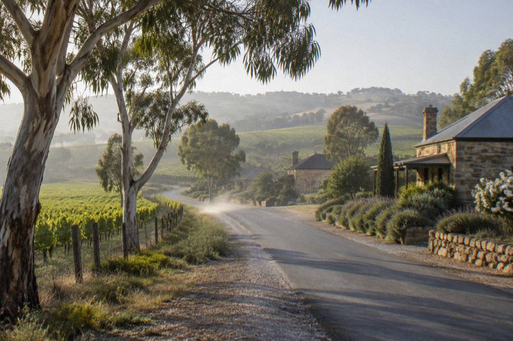 A quiet country road winding between vineyards and stone buildings in the Barossa Valley