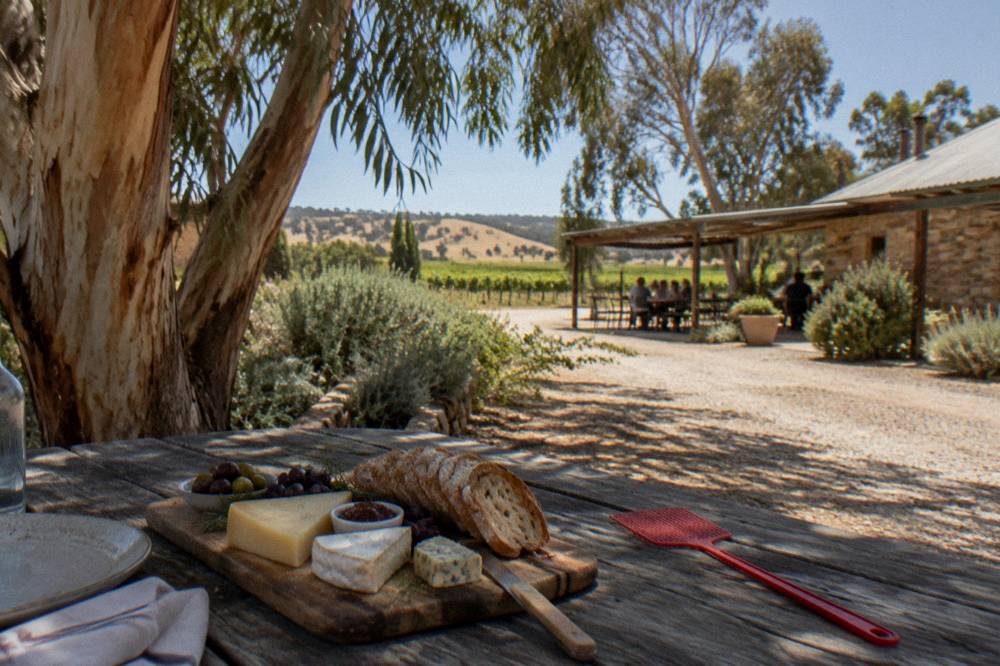 A platter of regional cheese and bread on a winery lunch table