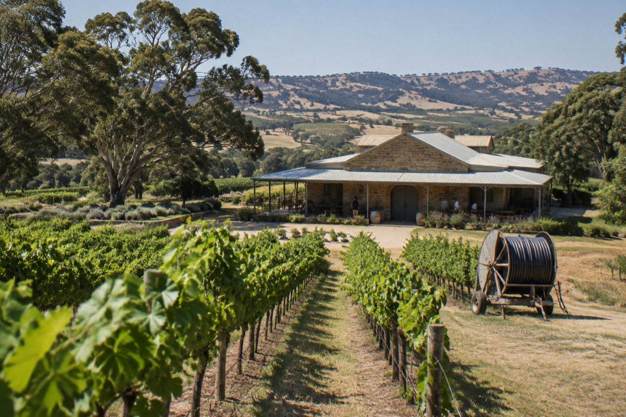 Vineyard rows and a stone cellar door building in the Barossa Valley at midday