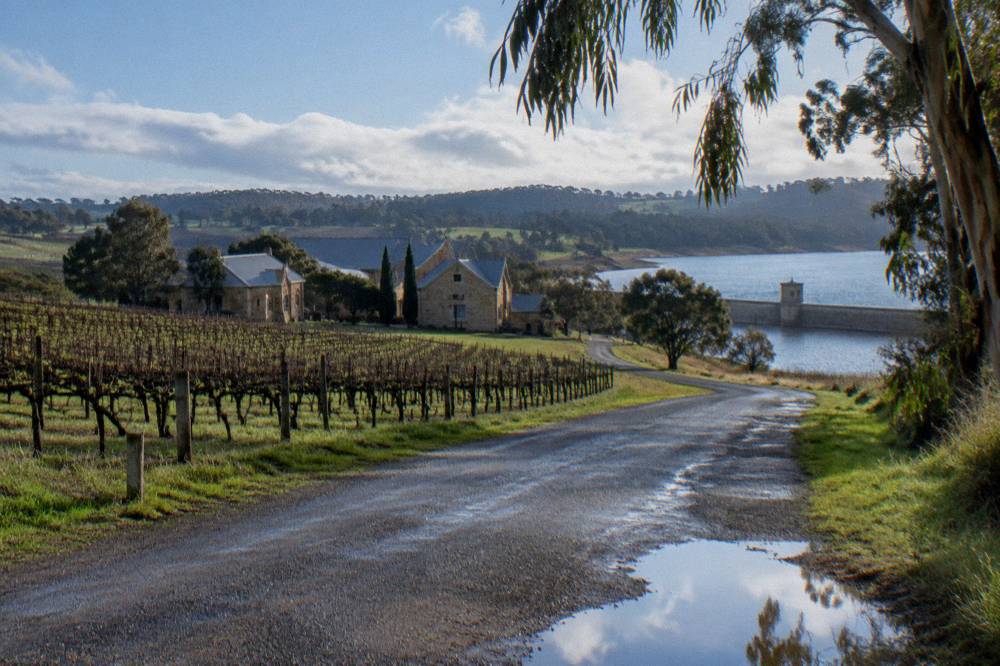 A country road curving between vineyards toward stone buildings