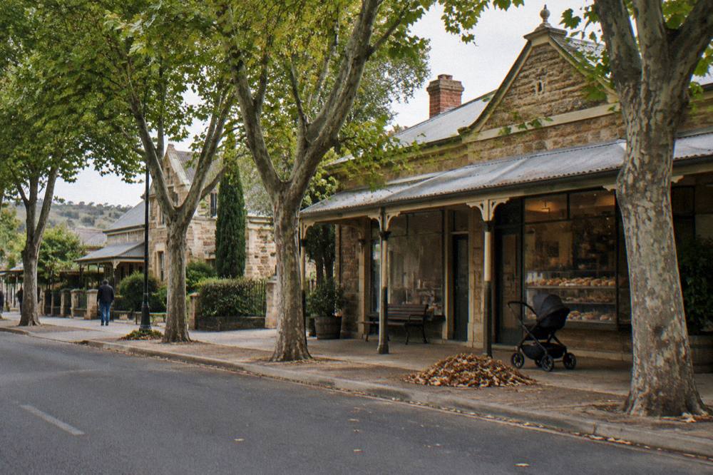 A plane-tree lined village main street with heritage shopfronts