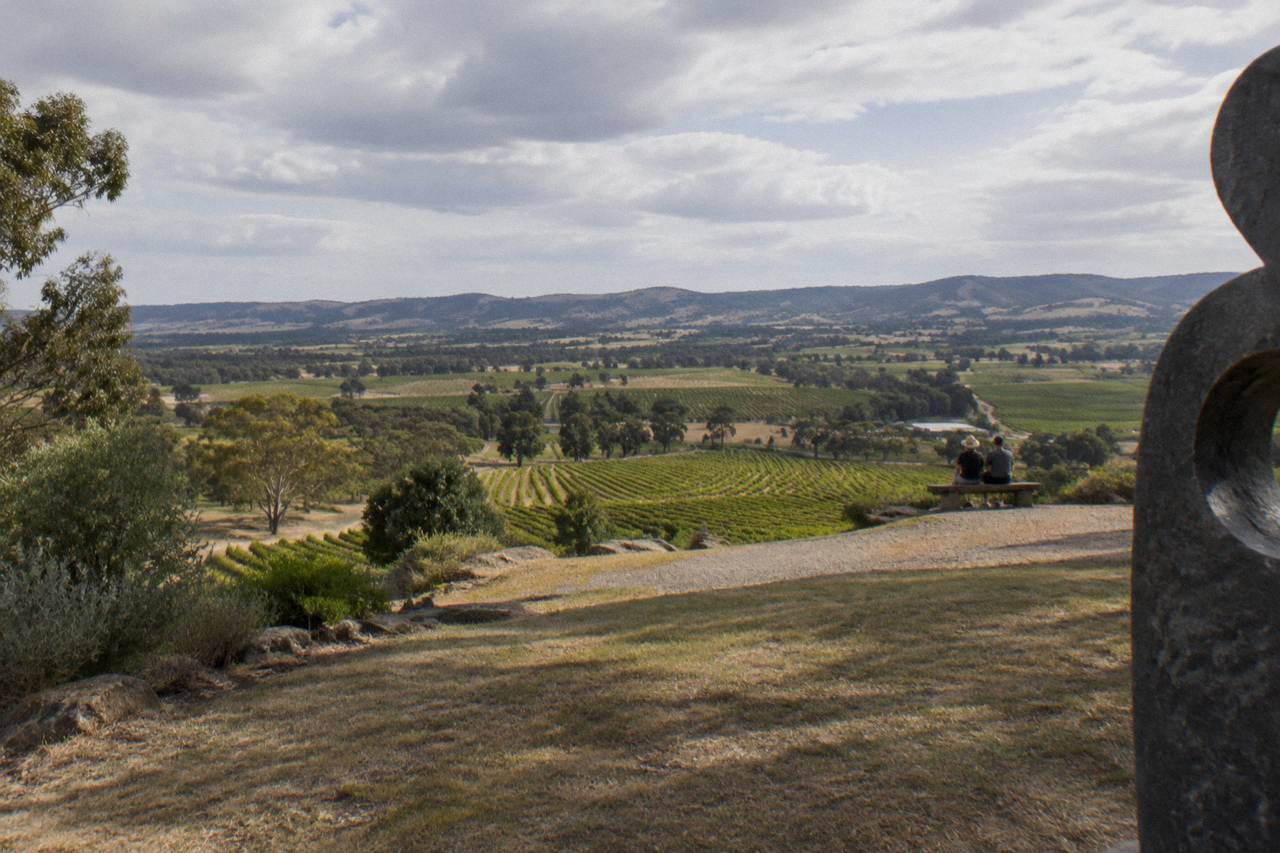 Vineyard rows rolling toward low hills under a wide sky