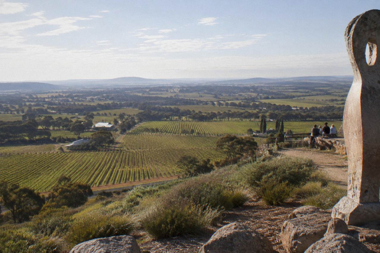 Rows of Shiraz vines on gently sloping Barossa Valley ground under a wide sky