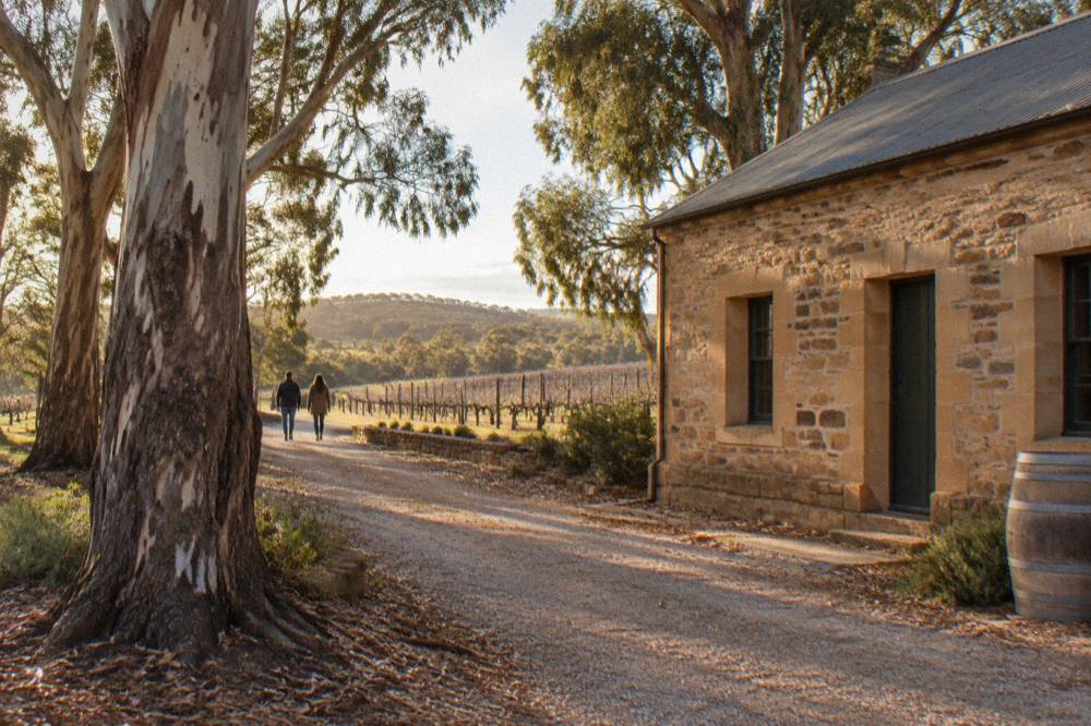 An old stone cellar door building with deep windows beside a gravel path and gum trees
