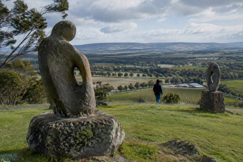 Sculptures on a grassy hillside overlooking vineyard rows across the valley
