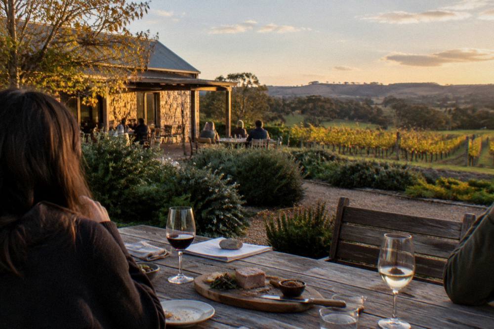 Small group of visitors seated at an outdoor tasting table beside vineyard rows