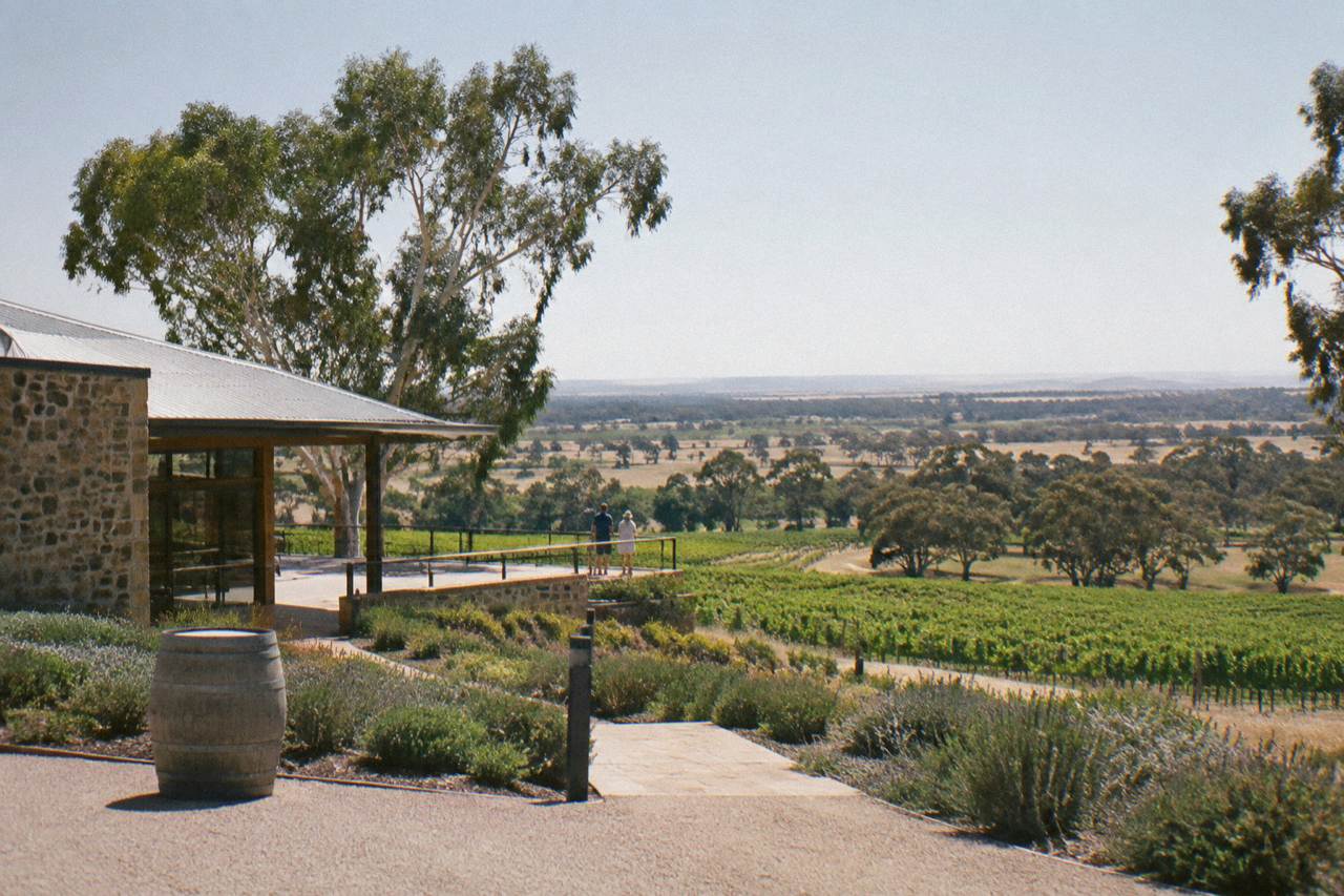 Vineyard rows and gum trees across the Barossa Valley floor under a wide sky