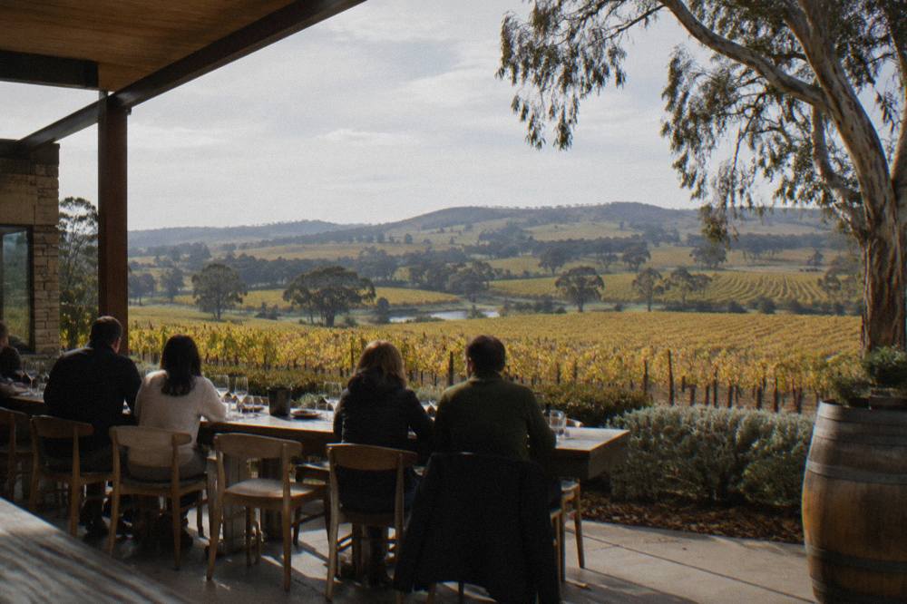 A group of people seated at a wooden tasting table with wine glasses and a view of vineyards
