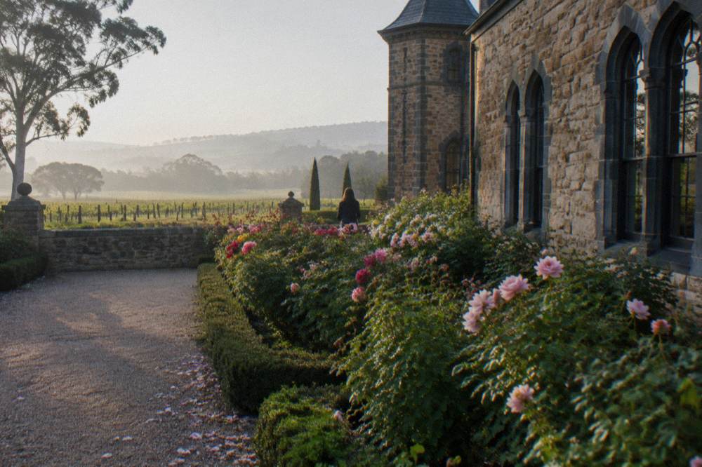 A stone cellar door building with rose garden beds beside vineyard rows