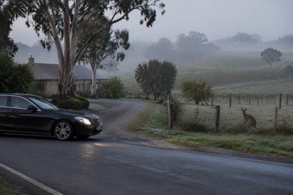A luxury vehicle parked on a country road beside rolling vineyard hills
