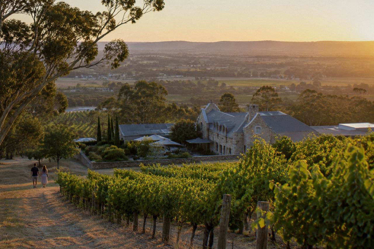 Vineyard rows and stone buildings across a Barossa Valley estate at golden hour
