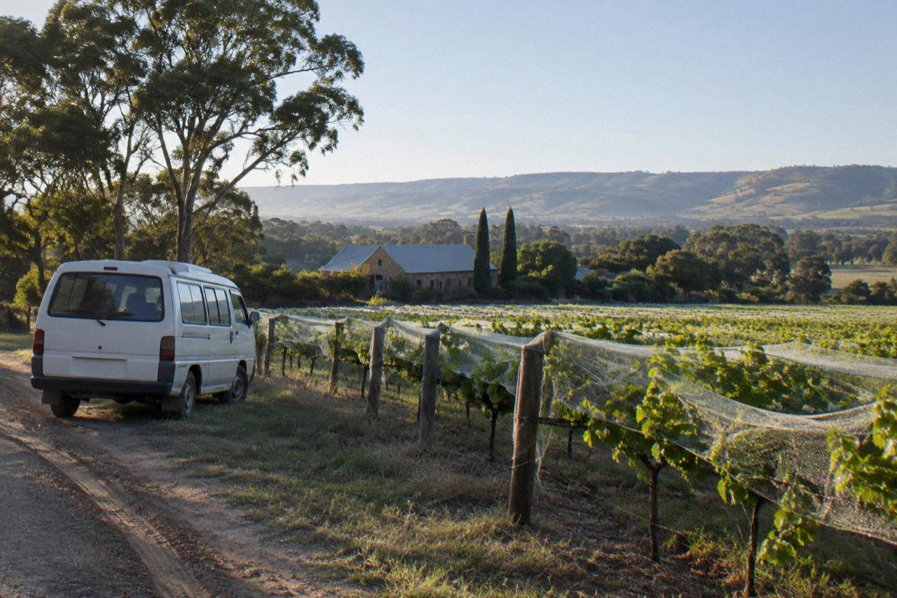 A small touring van parked on a dirt verge beside rows of leafy Barossa vineyard vines under a clear sky