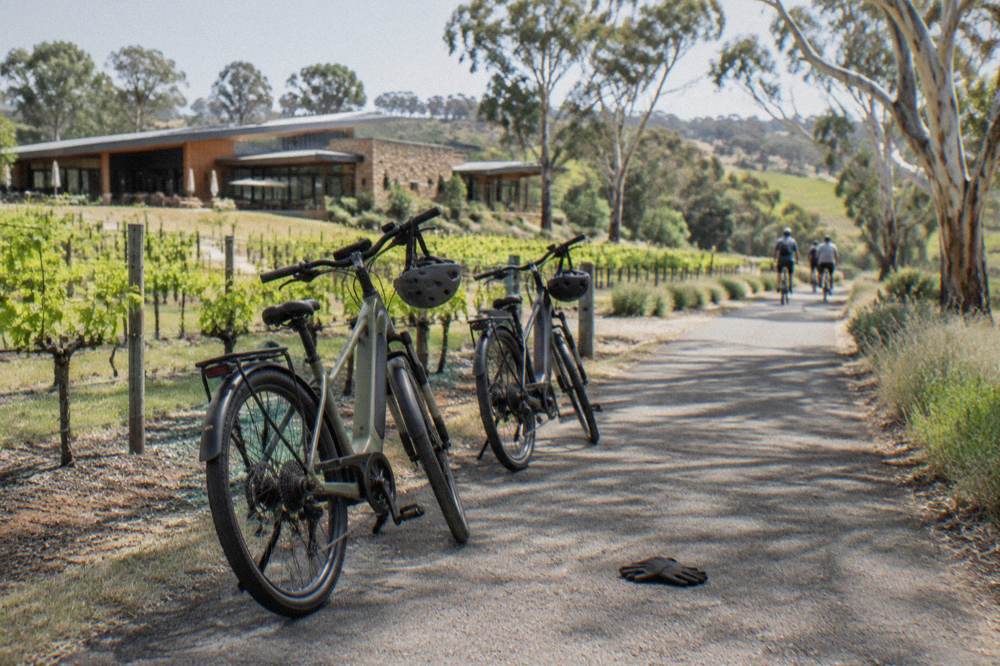 E-bikes parked on a sealed path beside rows of grapevines