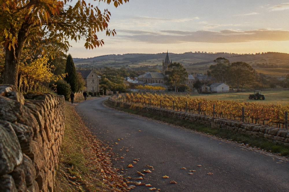 Country road winding between vineyards toward stone buildings